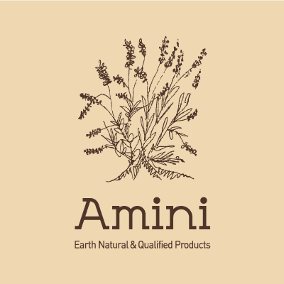 AMINI