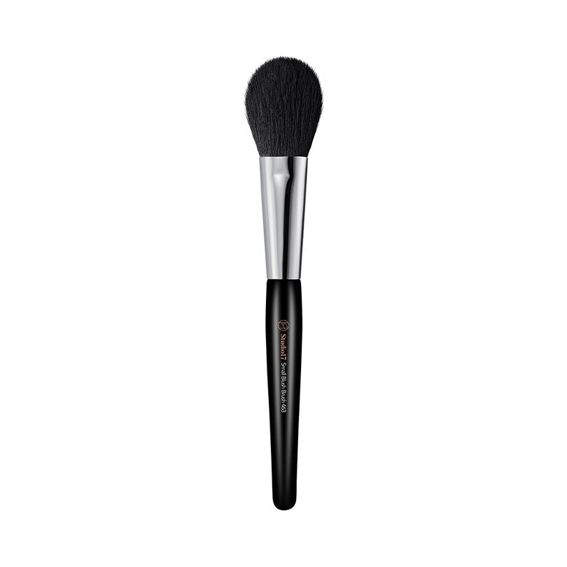 SMAL BLUSH BRUSH 463